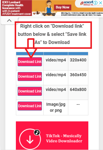 Pinterest Video Downloader